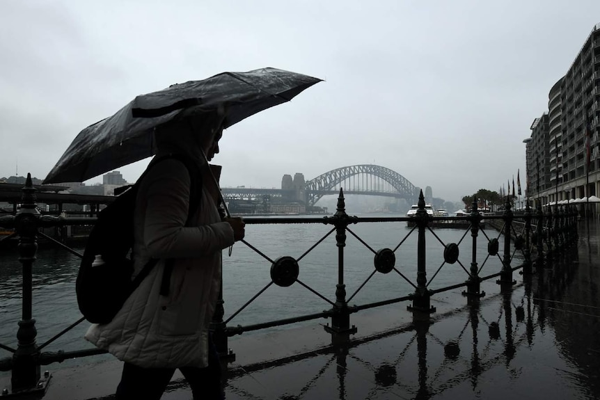 A woman holds an umbrella in the rain