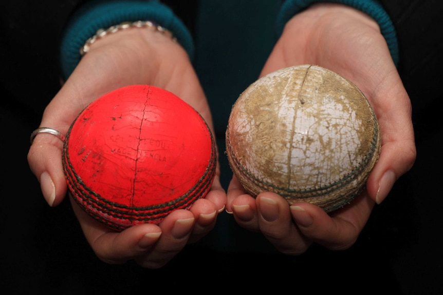 A used trial one-day pink cricket ball compared with the normal white ball, at Lord's in 2008.