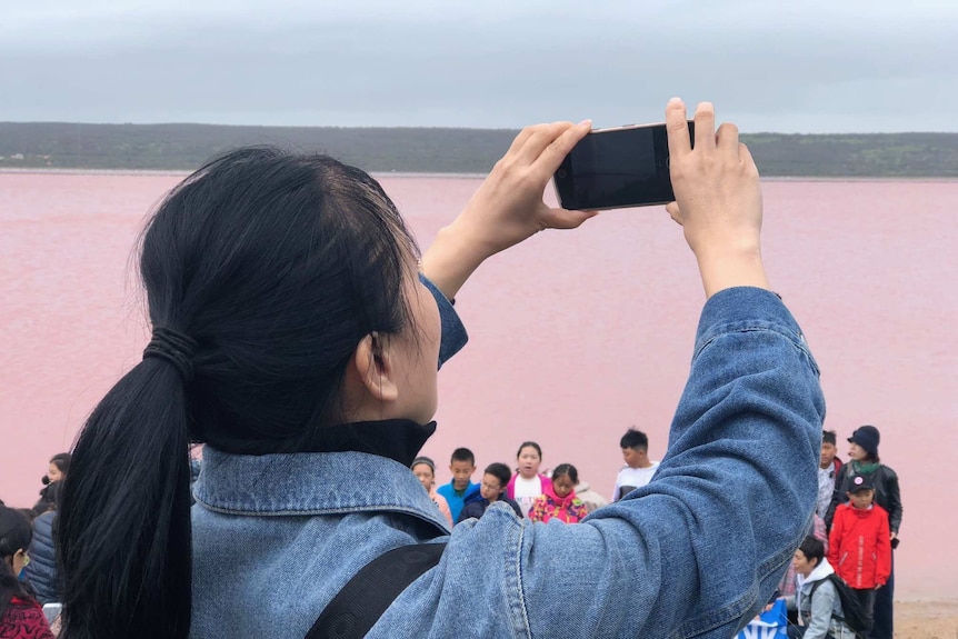 Chinese woman photographs friends at a pink lake in WA's Mid West.