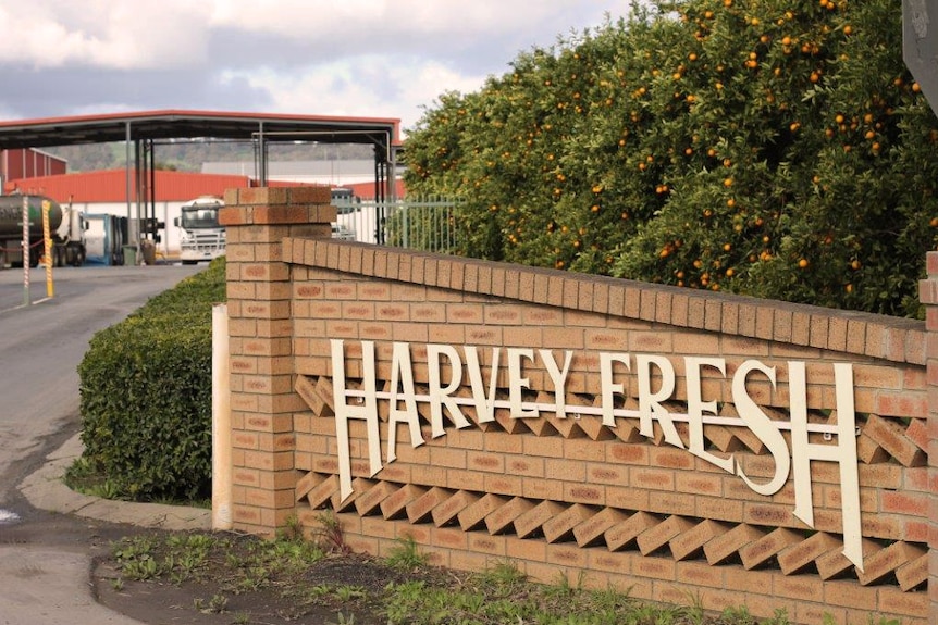 A brick wall showing the Harvey Fresh sign at the road entrance to the company's premises.
