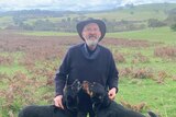 Older man in akubra poses on with his two dogs with farming landscape in the background.