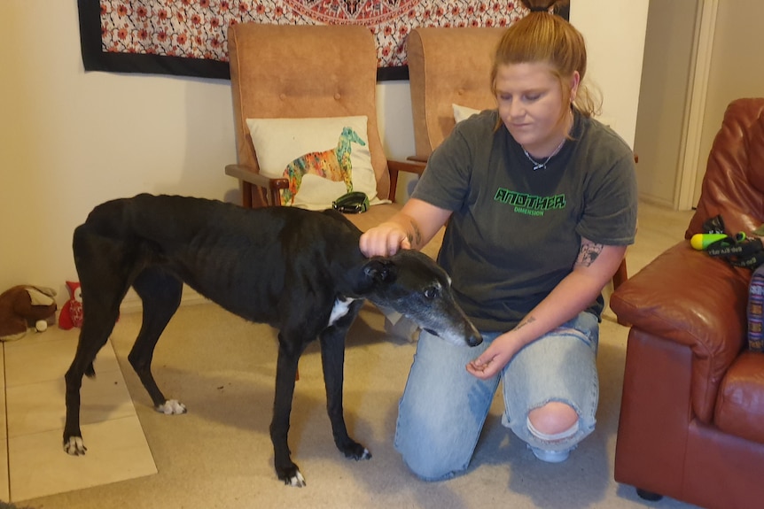 A woman with her pet greyhound which suffered liver damage