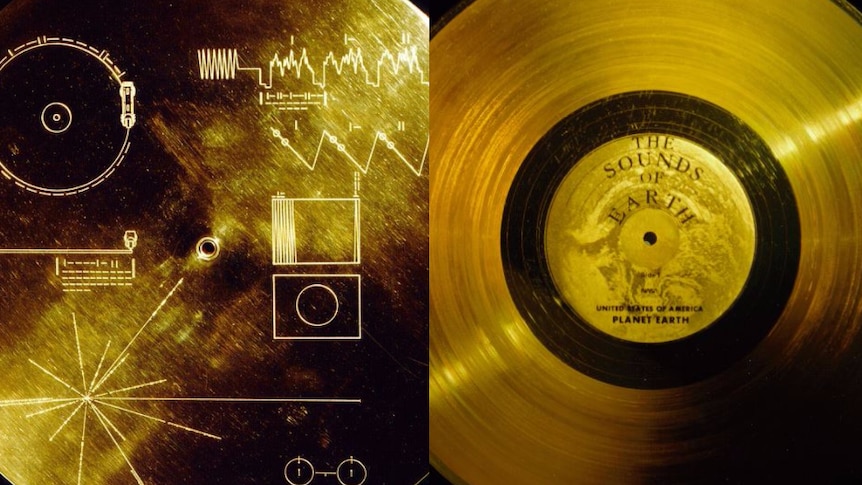Composite of The Sounds of Earth discs sent into space on the Voyager space probe.