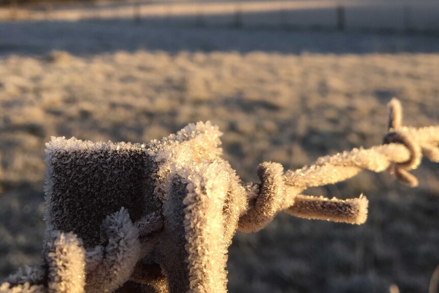 Ice on a fence with a blurred landscape in the background