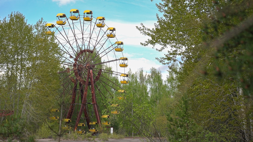 Ein Riesenrad mit gelben Körben, die an einem rostigen alten Rahmen befestigt sind, sitzt an einem klaren Tag in einem Wald