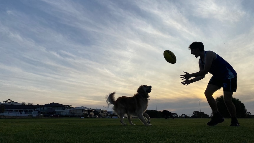 silhouette of a person catching a footy while a dog tries to get involved.