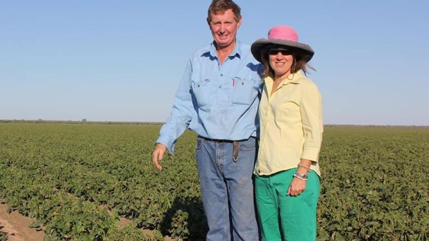 Corbett and Beris Tritton standing next to each other in front of their crop of mung beans at their property.