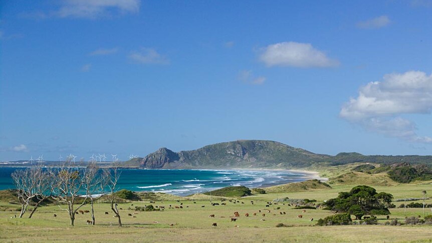 Beautiful, rural Marrawah looking to Preminghana.jpg