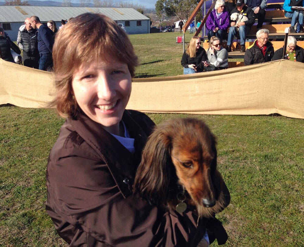 Sausage dogs set sizzling pace as Dachshunds dash for top dog honours