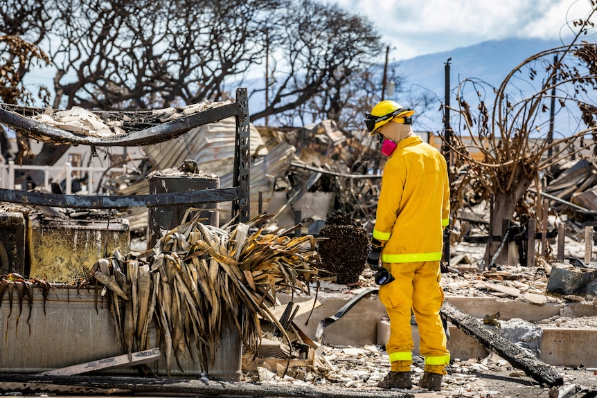 A search and rescue worker in burnt Lahaina