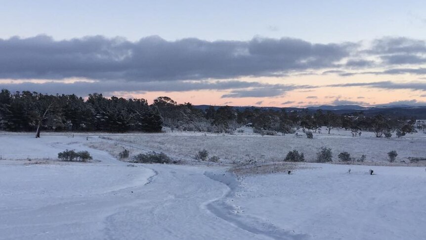 The view from Sally Holdsworth's home at Cooma today.