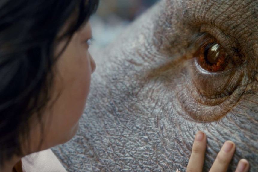 A close-up colour photo of South Korean actress Ahn Seo-hyun touching the face of computer generated imagery creature Okja