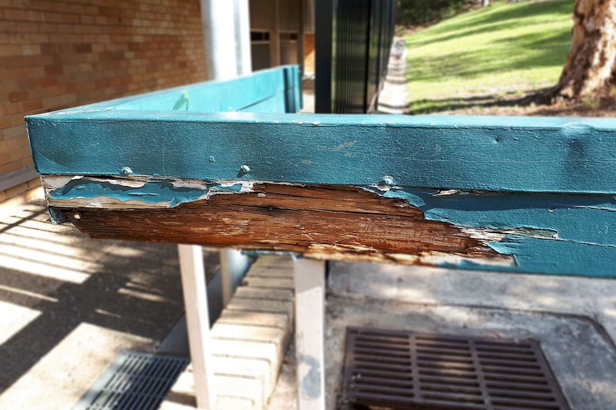 Photo of a rotting fence at Springwood High School in Faulconridge, NSW