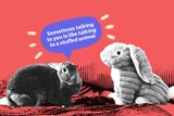 A live rabbit says to a stuffed rabbit, depicting the difficulties of resolving repetative arguments with your romantic partner.