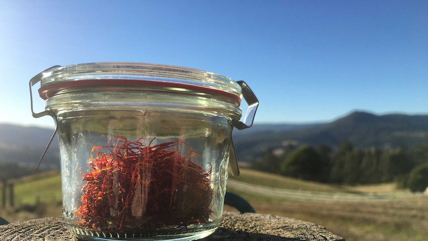 a glass jar of saffron threads sits on top of a fence post