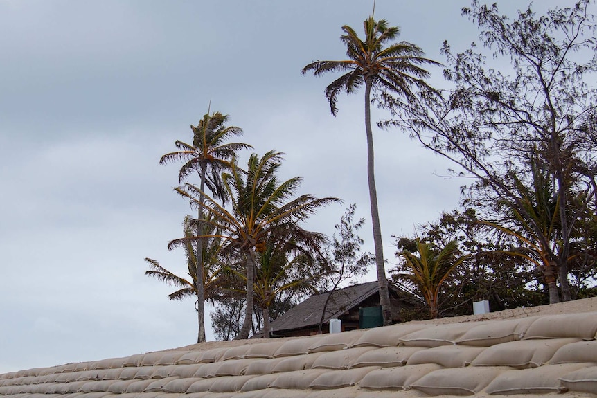 Wideshot of sandbags with trees in the distance.