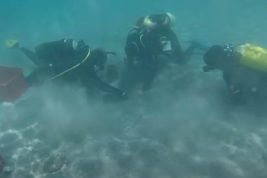 Three scuba divers search for coins under the sand 