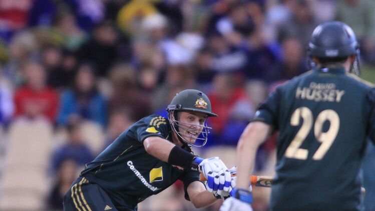 Mr and Master Cricket: The Hussey brothers put on 115 to steer Australia to victory.