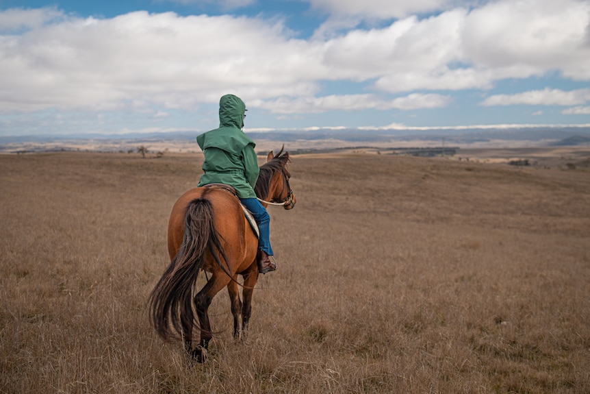 A woman wearing a green jacket sits on a horse staring out at snow-capped mountains.