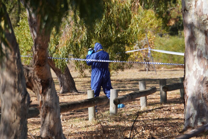A police forensic officer in a blue jumpsuit, walking through the bush.