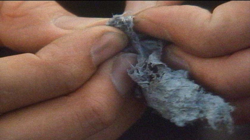 About 15 Tasmanians die from asbestos-related diseases each year.