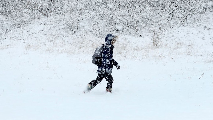 A boy trudges past branches through heavy snow during a blizzard.