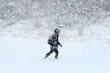 A boy trudges past branches through heavy snow during a blizzard.