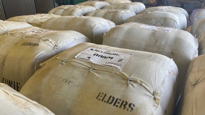 Bales of wool are being stored in a wool shed