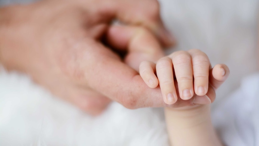 Close-up of a baby's hand holding a person's finger