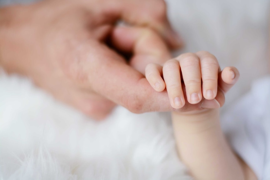 Close-up of a baby's hand holding a person's finger