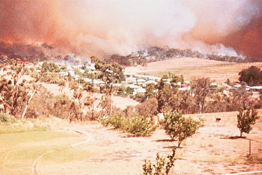 Fires burning down the hills towards the township of Clare in 1983.