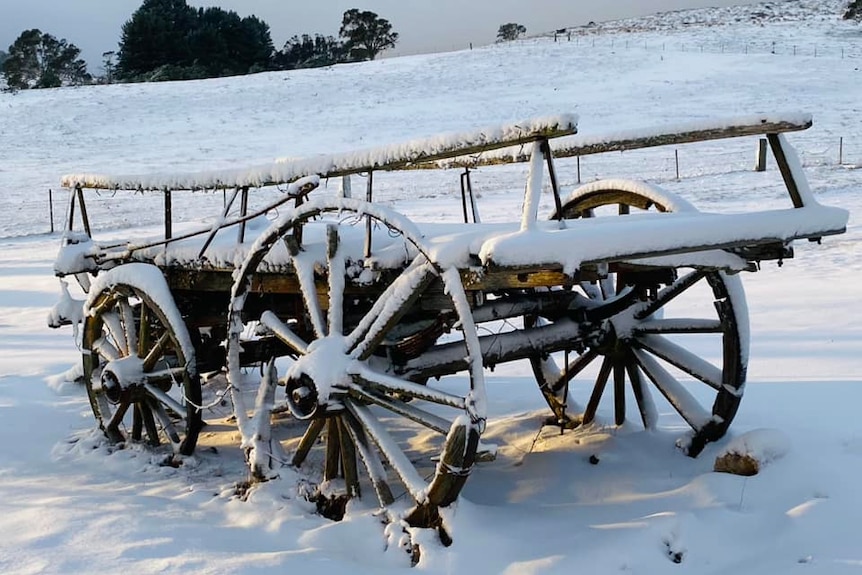 Snow fell in Oberon, NSW