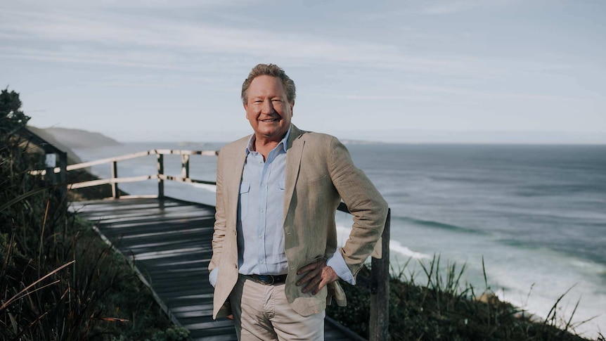 Andrew "Twiggy" Forrest stands on the ocean shoreline.