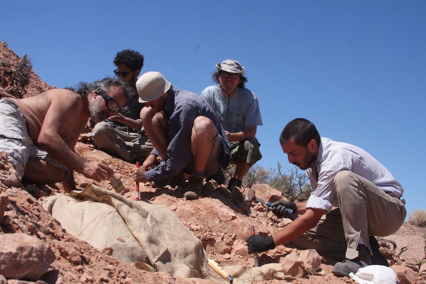 Palaeontologists working on the excavation of bones and fossils that belonged to a small armoured dinosaur in Rio Negro. 