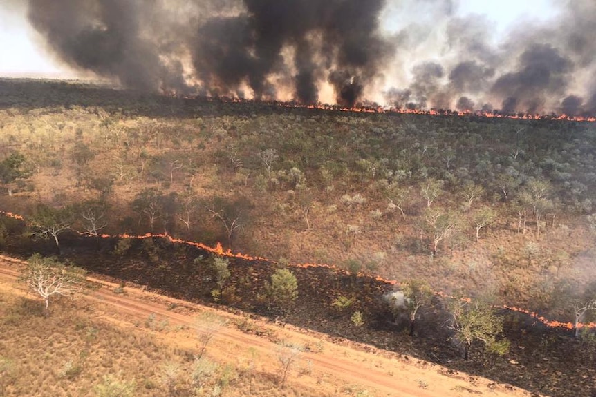 Gibb River fire front line ring of fire.