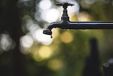 An outdoor tap drips with water.