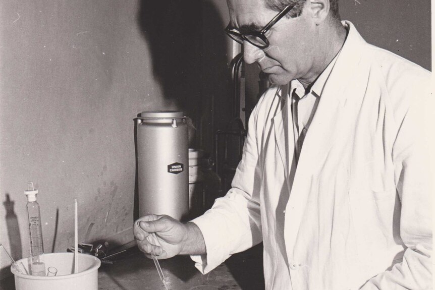 Dr Steven Salamon pellets semen as part of his sheep reproduction research.