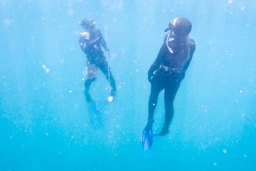Two freedivers deep underwater, with one beckoning to the other with his hand to go in a different direction.