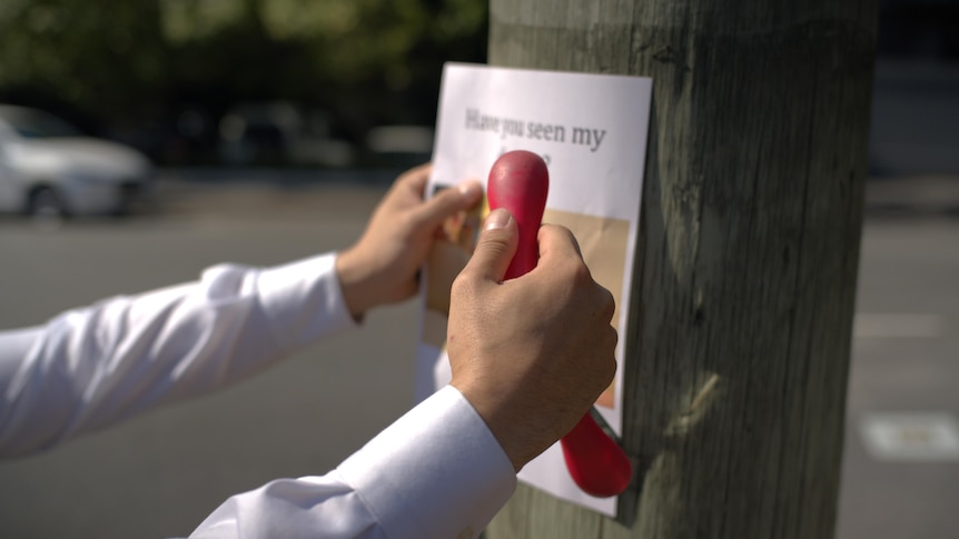 Some hands stapling a piece of paper to a power pole