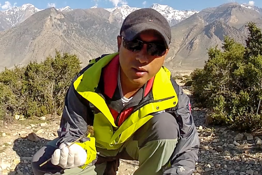 Taking a snow leopard scat sample