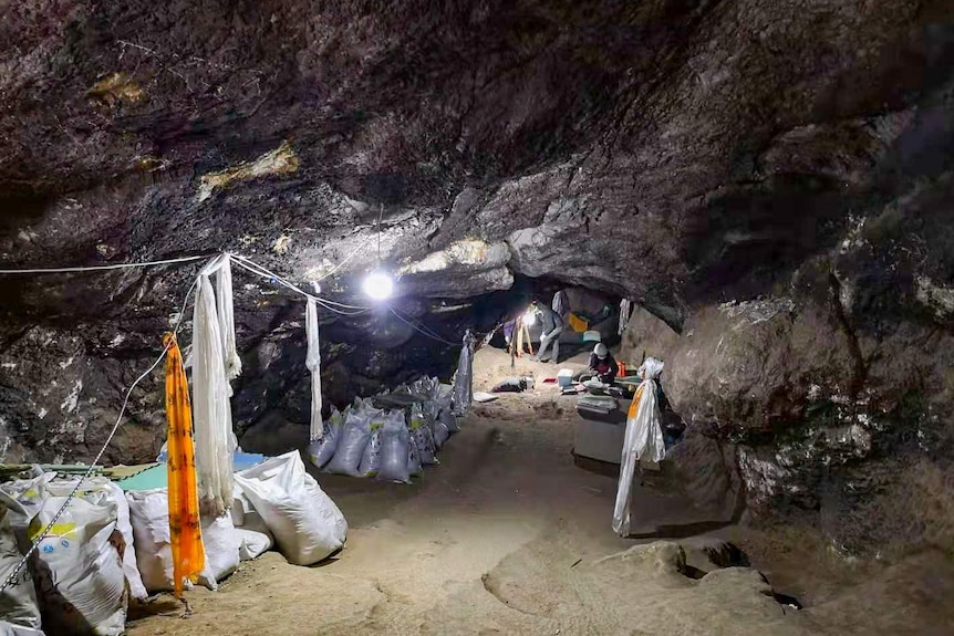 Excavation in Baishiya Karst Cave
