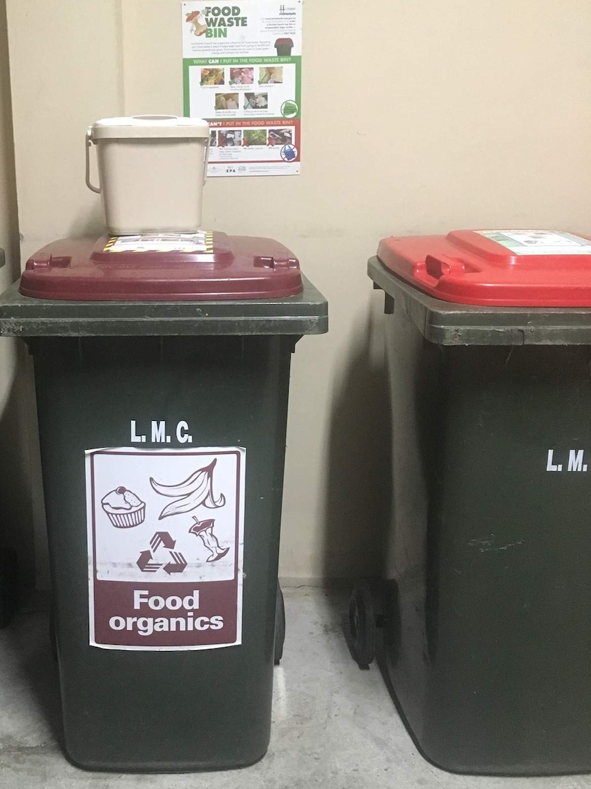 Different types of garbage bins