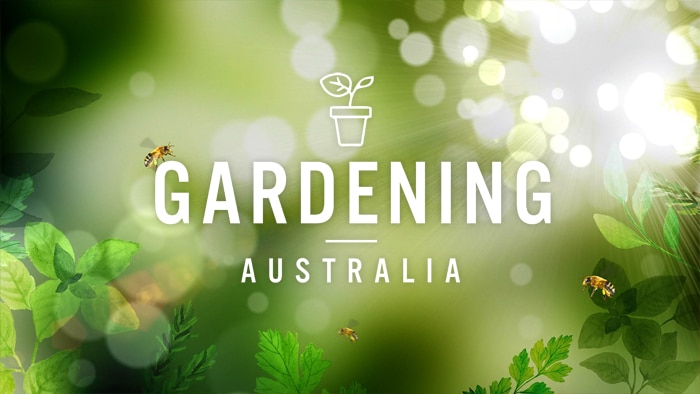 Graphic with text 'Gardening Australia'