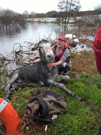 A donkey appears to be smiling after being rescued