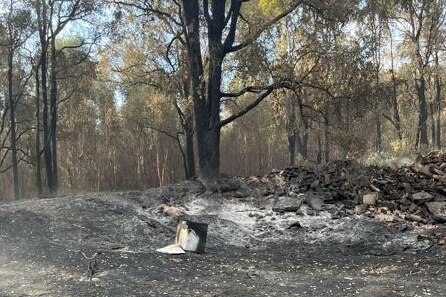 The aftermath of a bushfire, showing charred trees and ash on the ground.