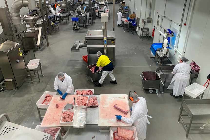 An aerial view of abattoir workers slicing meat in a plant.