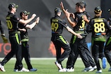 A group of cricketers run towards each other to high five in celebration of a wicket.