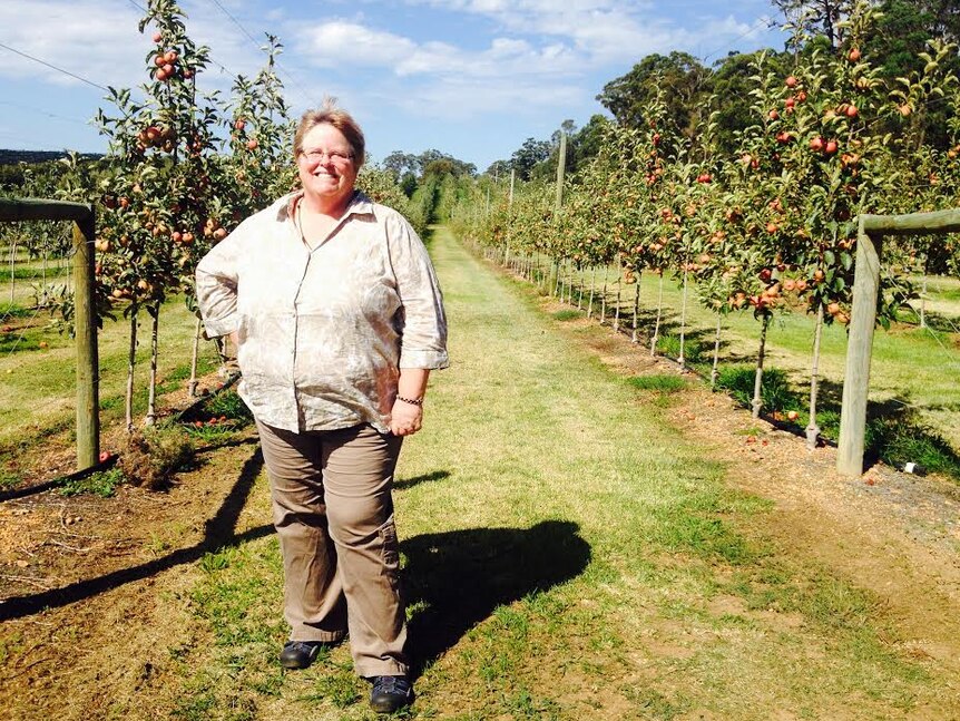 A woman standing between rows of apple trees in an orchard on a sunny day.