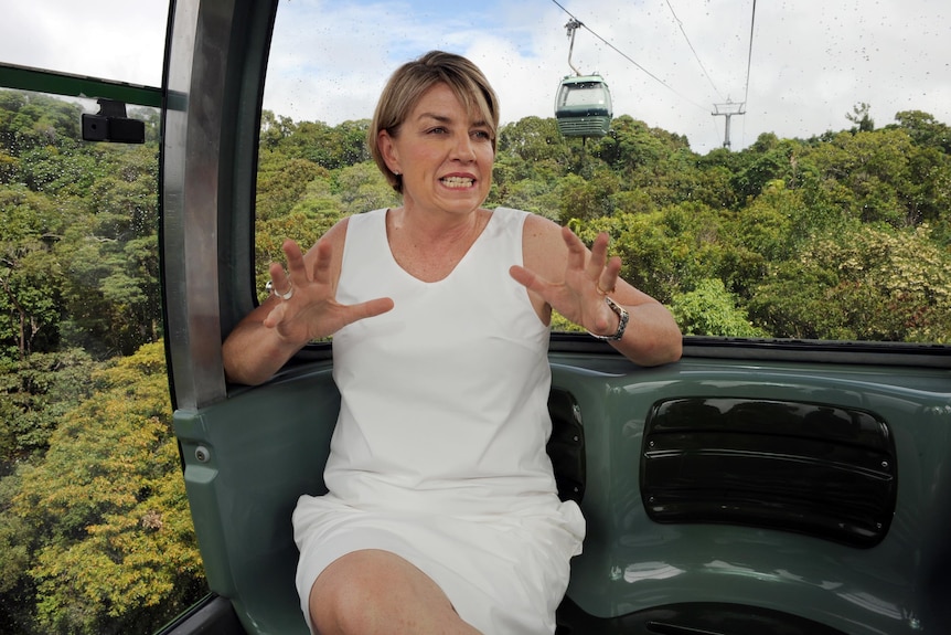 Queensland Premier Anna Bligh rides the Skyrail in Cairns.