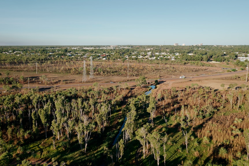 An aerial photo of trees. In the distance are homes. 